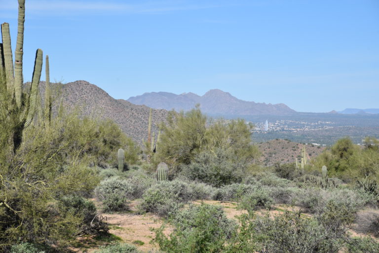 Maricopa Trail: Usery Mountains-Wild Horse Segment - Maricopa Trail ...