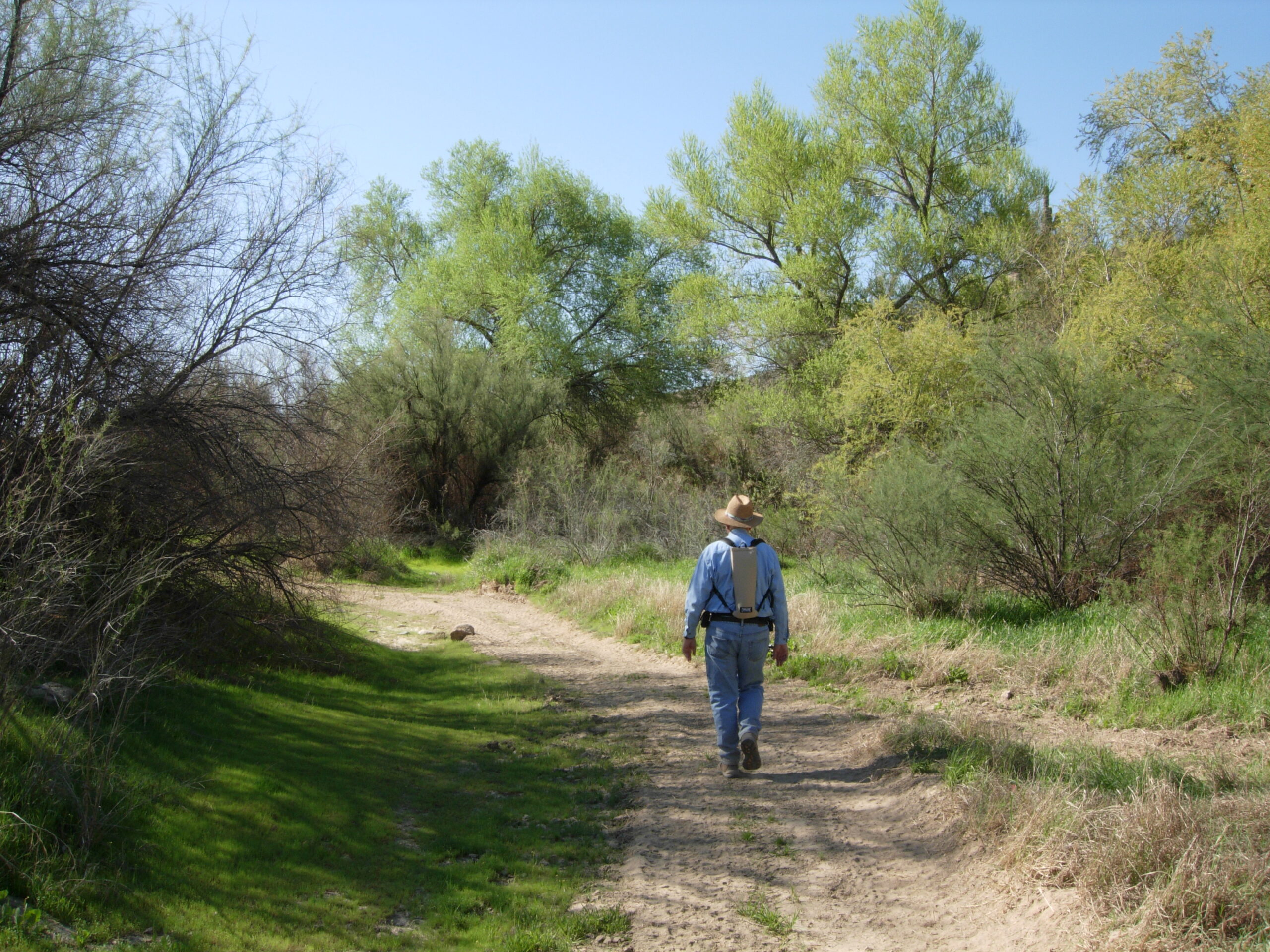 Your Maricopa County Hiking Mini Guide